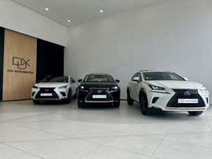 Lexus NX  SUV HYBRID LUXURY 4WD  - Foto 6