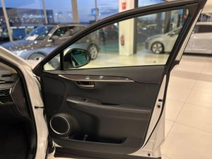 Lexus NX  SUV HYBRID LUXURY 4WD  - Foto 39