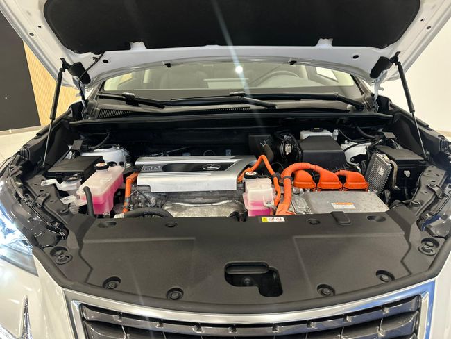 Lexus NX  SUV HYBRID LUXURY 4WD  - Foto 8