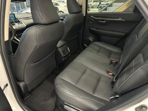 Lexus NX  SUV HYBRID LUXURY 4WD  - Foto 37