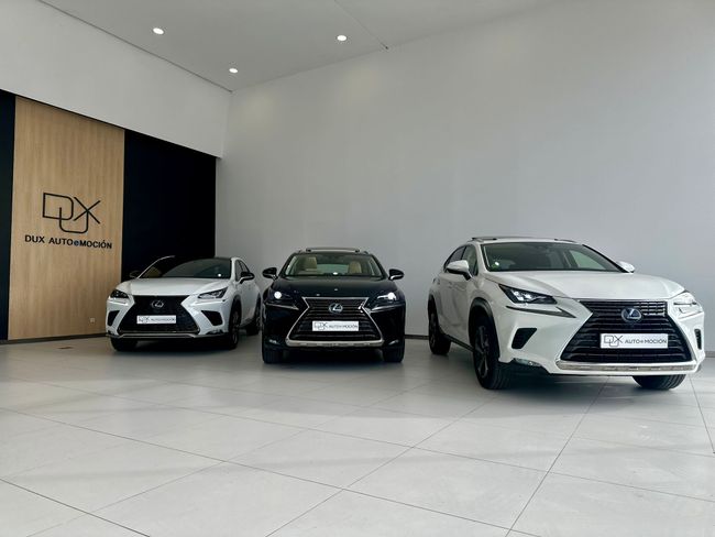 Lexus RX RX 450h 4WD Executive Tecno  - Foto 4