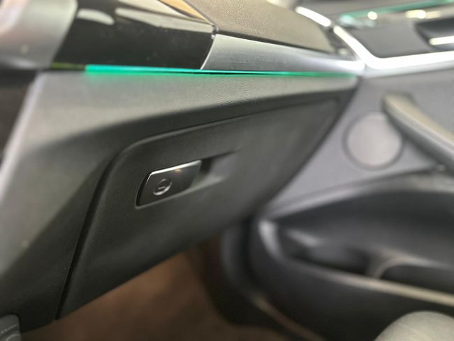 BMW X4 xDrive20da 190CV XLINE  - Foto 29