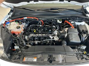 Ford Kuga 2.5 DURATEC 190CV HYBRID S-TLINE X  - Foto 11