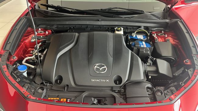 Mazda CX-30 2.0 e-SKYACTIV X 186 CV Homura  - Foto 11