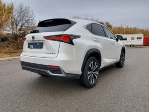 Lexus NX 300H   - Foto 6