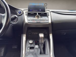 Lexus NX 2.5 300h  - Foto 14