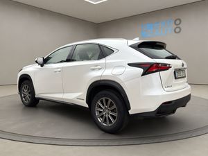 Lexus NX 2.5 300h  - Foto 6