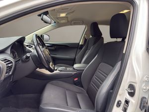 Lexus NX 2.5 300h  - Foto 10