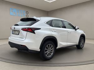 Lexus NX 2.5 300h  - Foto 8