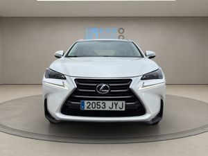Lexus NX 2.5 300h  - Foto 3