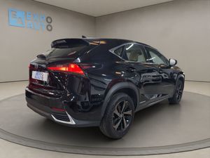 Lexus NX 2.5 300h F Sport Panorámico 4WD - Foto 3