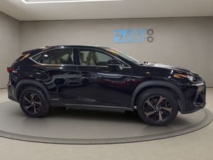 Lexus NX 2.5 300h F Sport Panorámico 4WD - Foto 14