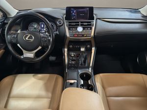 Lexus NX 2.5 300h F Sport Panorámico 4WD - Foto 13