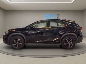 Lexus NX 2.5 300h F Sport Panorámico 4WD - Foto 6
