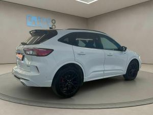 Ford Kuga STLine X 2.5 Duratec FHEV Auto  - Foto 3
