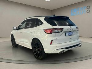 Ford Kuga STLine X 2.5 Duratec FHEV Auto  - Foto 5