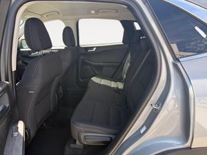 Ford Kuga Titanium 2.0 EcoBlue MHEV 110kW (150CV) - Foto 3