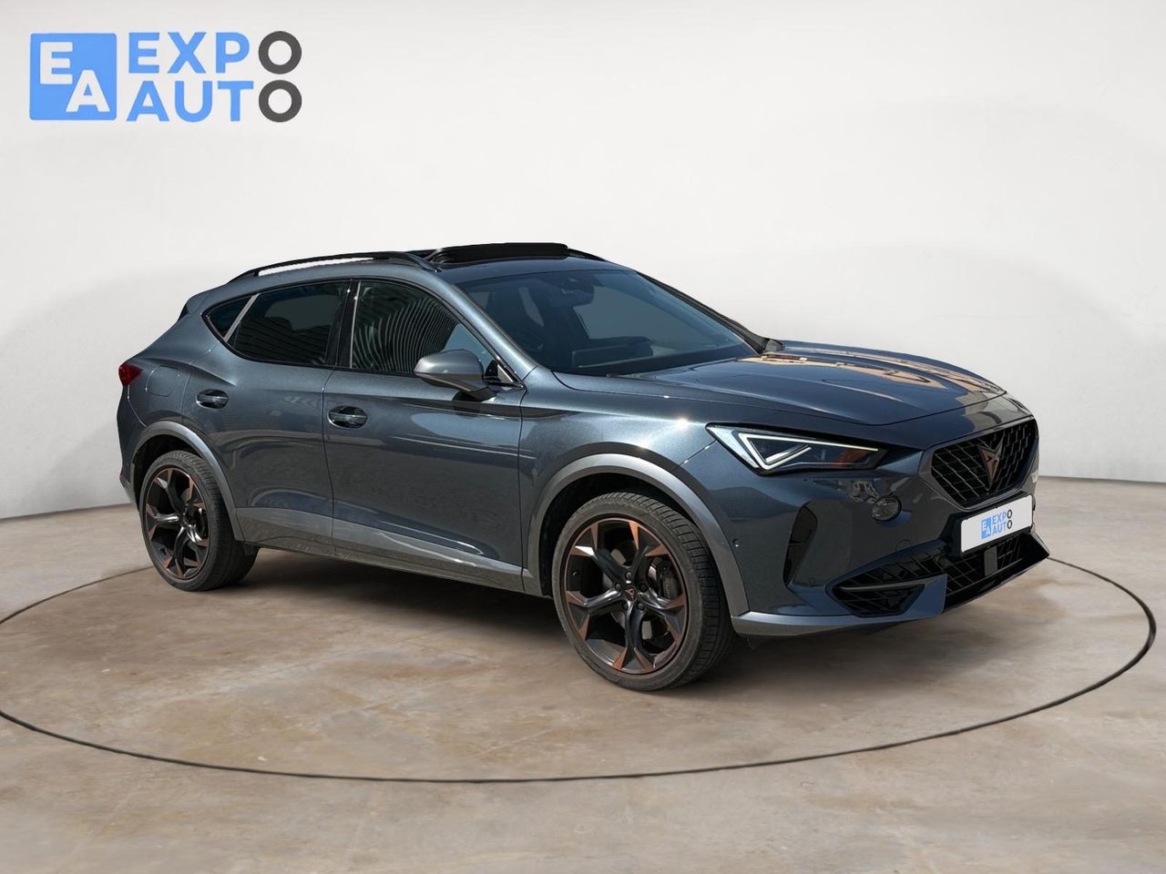 Cupra Formentor 2.0 TSI 228kW (310 CV) VZ 4Drive DSG - Foto 1