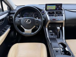 Lexus NX 2.5 300h Luxury 4WD - Foto 33