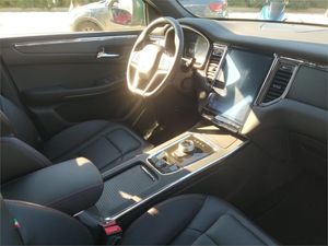 SWM G05 1.5T DCT  - Foto 9