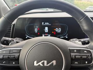 Kia Sportage 1.6 T-GDi MHEV 118kW (160CV) Drive 17