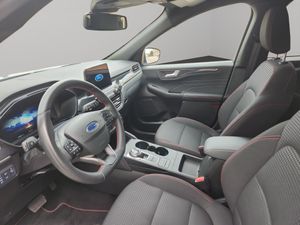 Ford Kuga ST-Line 2.5 Duratec FHEV 140kW Auto  - Foto 9