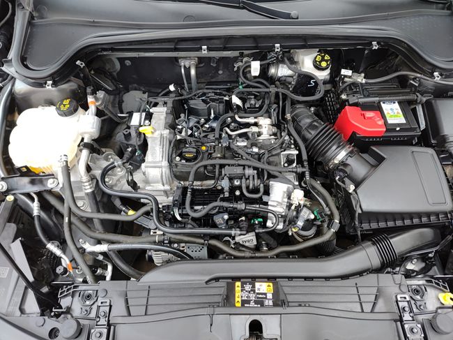 Ford Focus 1.0 Ecoboost MHEV 114kW ST-Line  - Foto 22