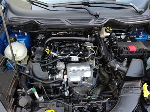Ford Ecosport 1.0T EcoBoost 92kW (125CV) S&S Active  - Foto 24