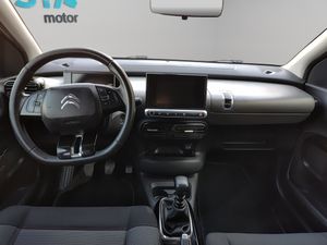 Citroën C4 Cactus PureTech 81KW (110CV) S&S Feel  - Foto 10