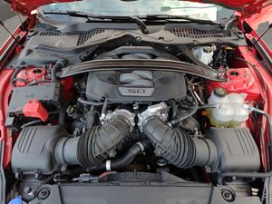 Ford Mustang 5.0 Ti-VCT V8 331kW Mustang GT (Fastb.)  - Foto 23
