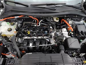 Ford Kuga ST-Line 2.5 FHEV 140 kW (190 CV)  - Foto 24