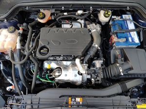 Ford Focus Berlina Trend+ 1.5 EcoBlue 88 kW (120 CV) Aut. 8 vel.  - Foto 24