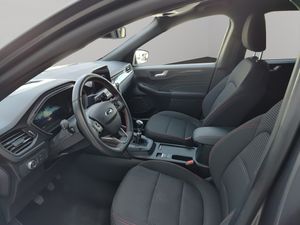 Ford Kuga ST-Line 1.5 EcoBlue 88 kW (120 CV)  - Foto 9