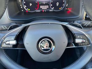 Skoda Karoq Selection 1.5TSI 150cv DSG   - Foto 15