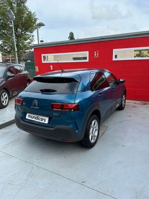 Citroën C4 Cactus PureTech 110 S&S Shine  - Foto 12