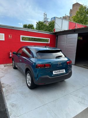 Citroën C4 Cactus PureTech 110 S&S Shine  - Foto 11