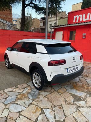 Citroën C4 Cactus PureTech 81KW (110CV) S&S EAT6 Feel  - Foto 14