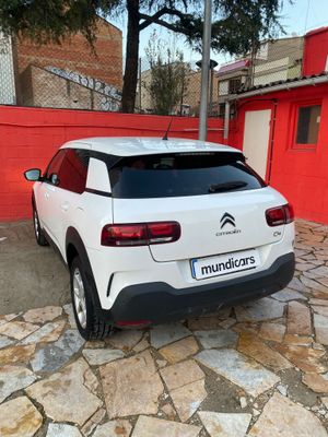 Citroën C4 Cactus PureTech 81KW (110CV) S&S EAT6 Feel  - Foto 9