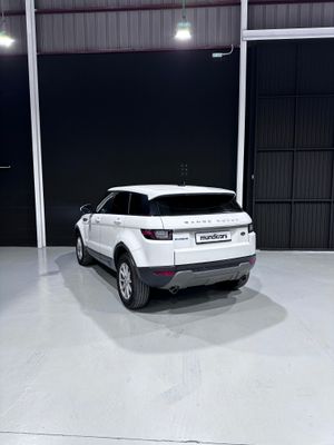 Land-Rover Range Rover Evoque 2.0L eD4 Diesel 150CV 4x2 SE  - Foto 10