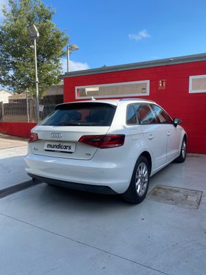 Audi A3 Sportb 1.6 TDI clean 110CV S tr Advanced  - Foto 11