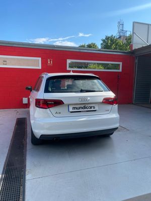 Audi A3 Sportb 1.6 TDI clean 110CV S tr Advanced  - Foto 13