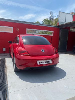 Volkswagen Beetle 1.6 TDI 105cv Design  - Foto 10