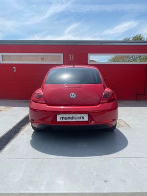 Volkswagen Beetle 1.6 TDI 105cv Design  - Foto 11