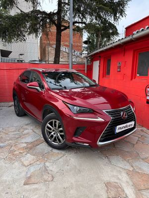 Lexus NX 2.5 300h Business Navigation 2WD  - Foto 8
