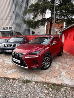 Lexus NX 2.5 300h Business Navigation 2WD  - Foto 6