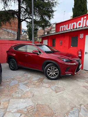 Lexus NX 2.5 300h Business Navigation 2WD  - Foto 3