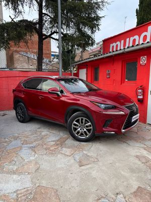 Lexus NX 2.5 300h Business Navigation 2WD  - Foto 4