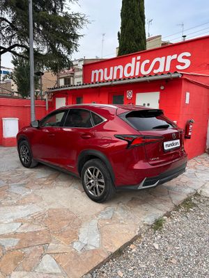 Lexus NX 2.5 300h Business Navigation 2WD  - Foto 12