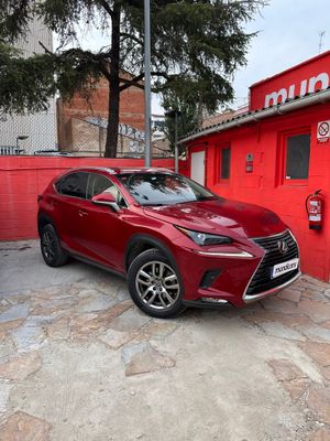 Lexus NX 2.5 300h Business Navigation 2WD  - Foto 5