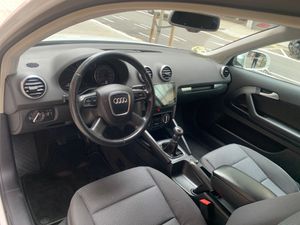 Audi A3 1.6 TDI 105cv Attraction  - Foto 11